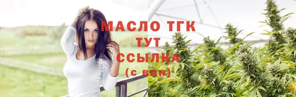 прущие грибы Дмитров