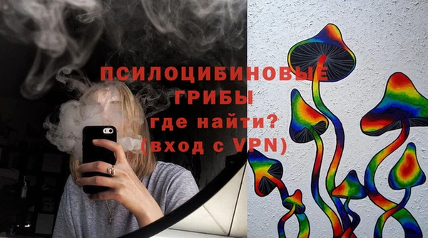 прущие грибы Дмитров