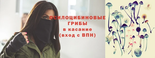 прущие грибы Дмитров