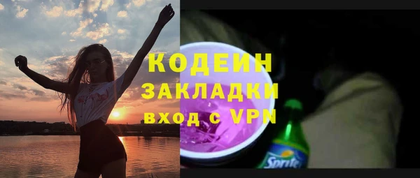 прущие грибы Дмитров