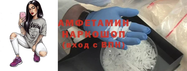 прущие грибы Дмитров