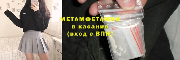 прущие грибы Дмитров
