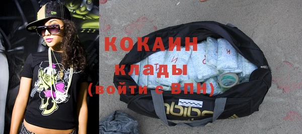 индика Ачинск