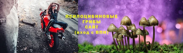 а пвп мука Дмитриев