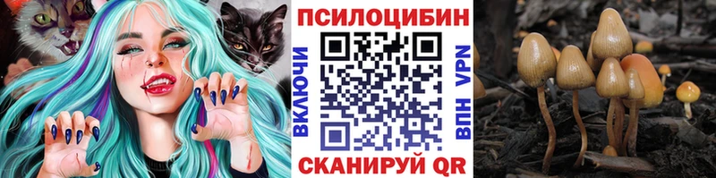 Галлюциногенные грибы MAGIC MUSHROOMS  Железноводск 