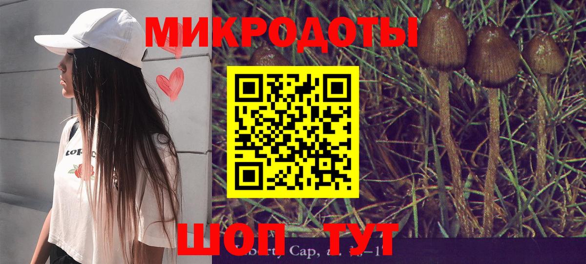 Железноводск  даркнет сайт  Вход с VPN  Галлюциногенные грибы GOLDEN TEACHER  Галлюциногенные грибы Psilocybe 