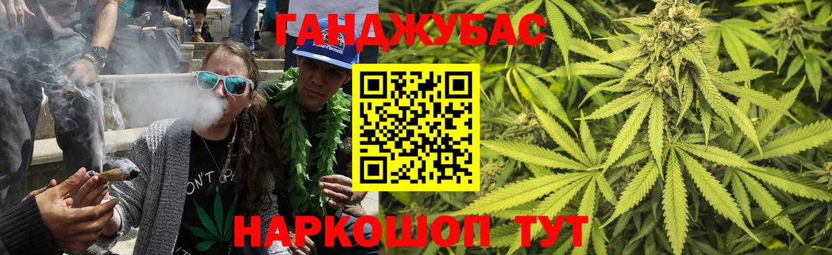 Бошки марихуана сатива Железноводск